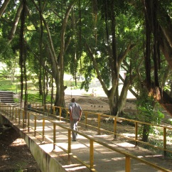 Campus of University of Dar es Salaam